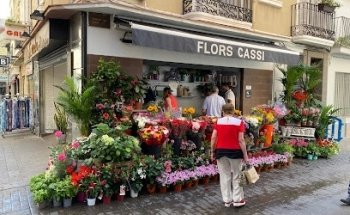 CASSI Flors i Plantes