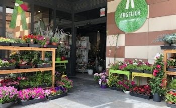 Floristeria Argelich