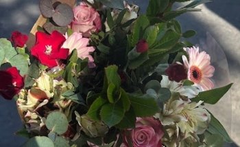 Con raíces Estudio floral