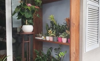 Floristería Aitana Natura