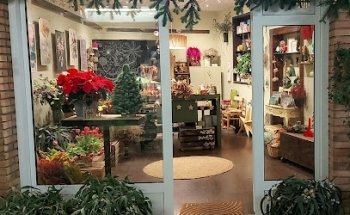 Ses Flors de Cadaqués