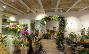La Fioreria - Espai Floral