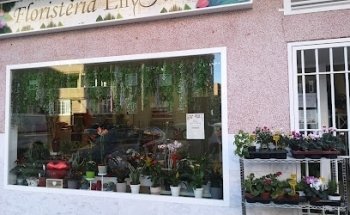 Floristería Lily Flor