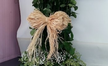 Ester Bornay, florista