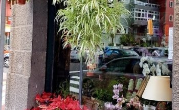 Floristería La Pagoda