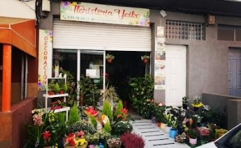 Floristería Yeiko, La Cuesta