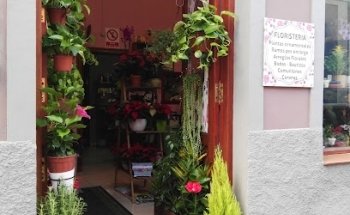 Floristería la laguna