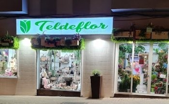 Telde flor Floristería