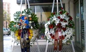 Floristeria y Boutique del Bonsái Javier Déniz