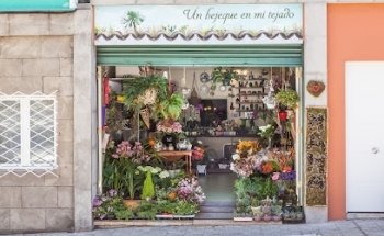 Floristería - Un bejeque en mi tejado