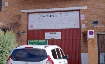 Floristería Inés