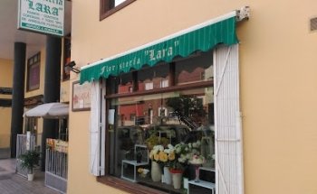 Floristería Lara