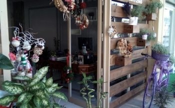 Floristería Flor Es Amor