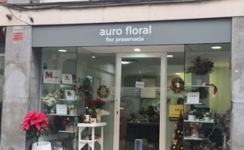 Auro Floral Stories