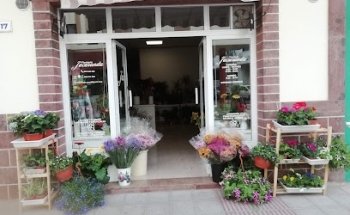 FLORISTERÍA JACARANDA EVENTI