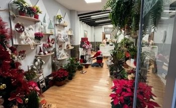 Floristería Strelitzia