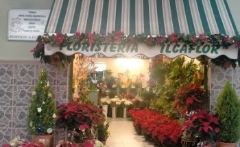 Floristeria Ilcaflor