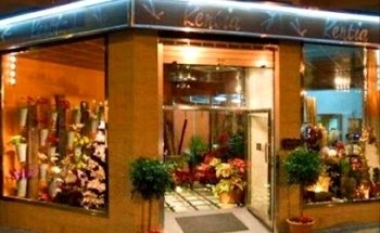 Floristería Kentia Guanarteme