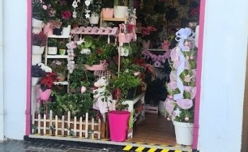 Floristería menta flowers