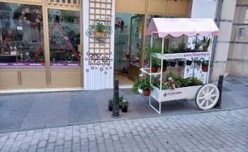 FLOWERING ????????????????????????????????????í???? enviar flores a domicilio Telde, Las Palmas