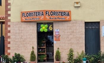 Floristería Ave de Paraíso