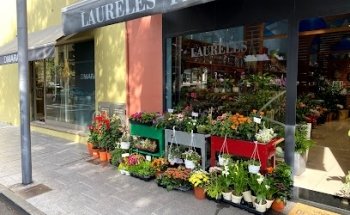 Floristeria Laureles