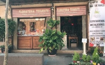 Floristería Tegueste
