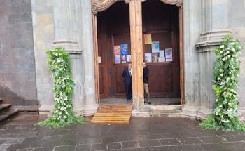 Las Libélulas Flower Shop