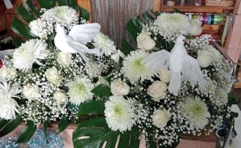 Floristeria Gustavo Quevedo