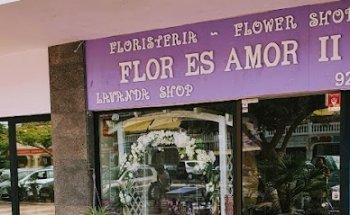Floristería Flor Es Amor 2 - Tenerife