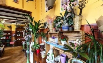 Floristería Laurisilva