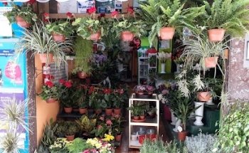 Floristería Ripoche