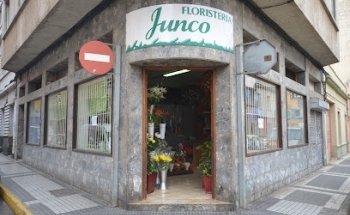 Floristería Junco