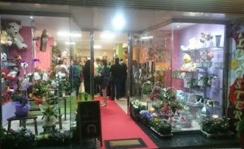 Becedas Floristería