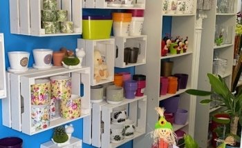 Floristería Flower Shop Mundo Floral