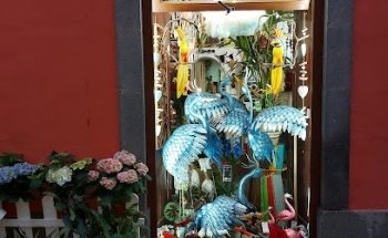 Floristería El Almendro - San Mateo