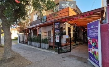 Florería y Cafetería Encactus Viña del Mar