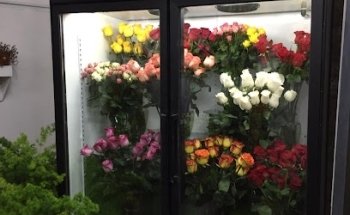 Florería - Costa Floral en Valparaíso