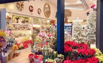 Floristeria Amarylis