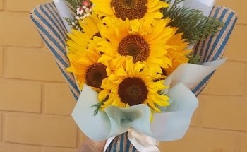 Florería Lizianthus Ovalle