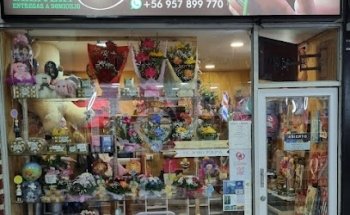 Floreria Corazón - Sucursal Terminal de Buses Puerto Montt