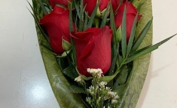 Floristería Narciso