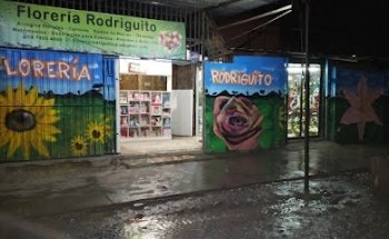 Floreria Rodriguito