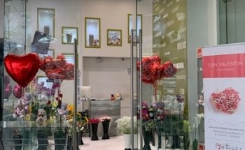 Floreria Exoticas Flores (Boulevard Nueva Las Condes)