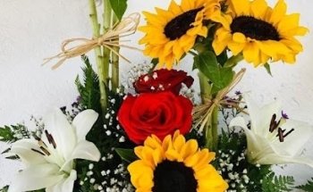 Florería Esperanza Castro Chiloé