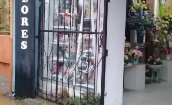 Floreria dedos verdes