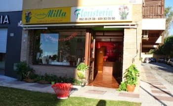 FLORES TORREMOLINOS-CUSTODIA MILLA