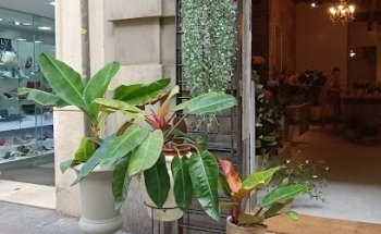 Flower Shop Barcelona