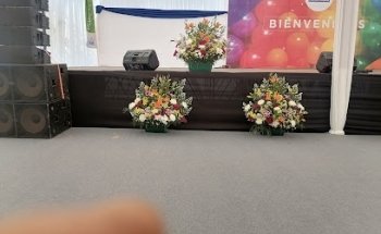 Florería Los Noritos