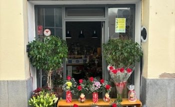 Floristería Cordobesa